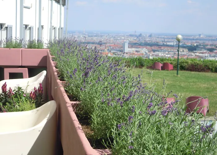 Palace Hostel Viena